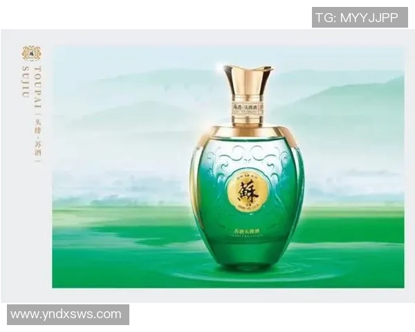 南京头排苏酒传承工艺与文化价值的深度探索与品牌发展路径